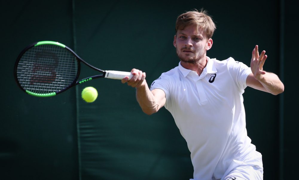 David Goffin