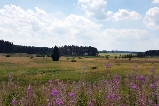 Vennbahn - Ravel L48