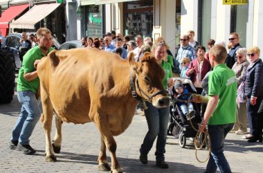 Erntedankzug 2018 Eupen