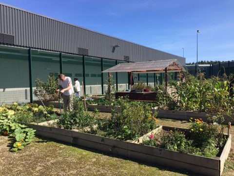 Ortis legt Heilpflanzen in Gefängnis an