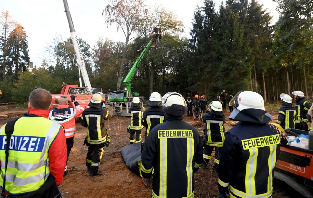 Hambacher Forst