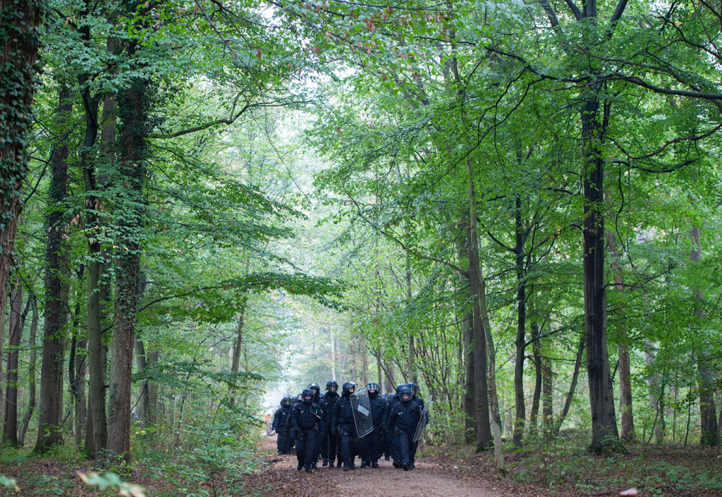 Hambacher Forst