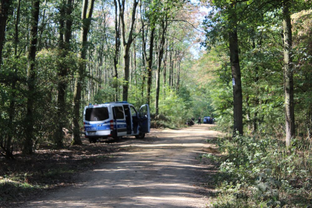 Hambacher Forst (Archivbild: Lena Orban/BRF)