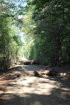 Bild: Lena Orban/BRF