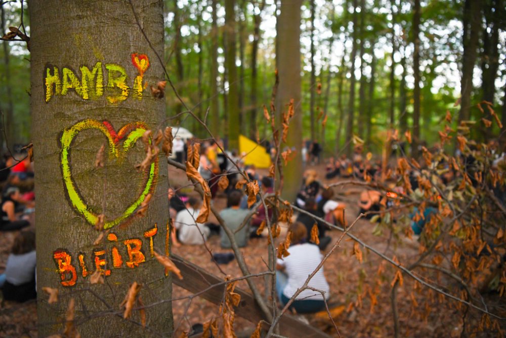 Hambacher Forst