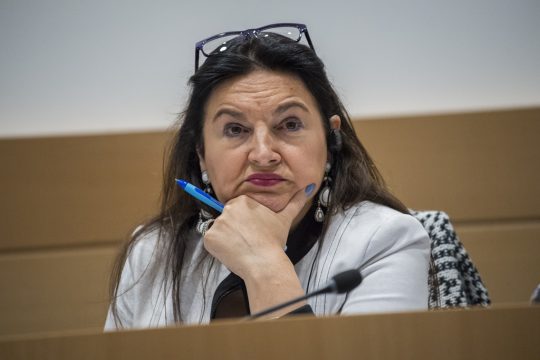 Marghem am Mittwoch im Kammerausschuss (Bild: Laurie Dieffembacq/Belga)