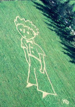 Luftaufnahme des "Kleinen Prinzen" am 15.5.1995 in Toulouse