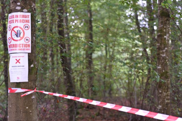 Abgesperrte Zone wegen der Schweinepest in der Provinz Luxemburg