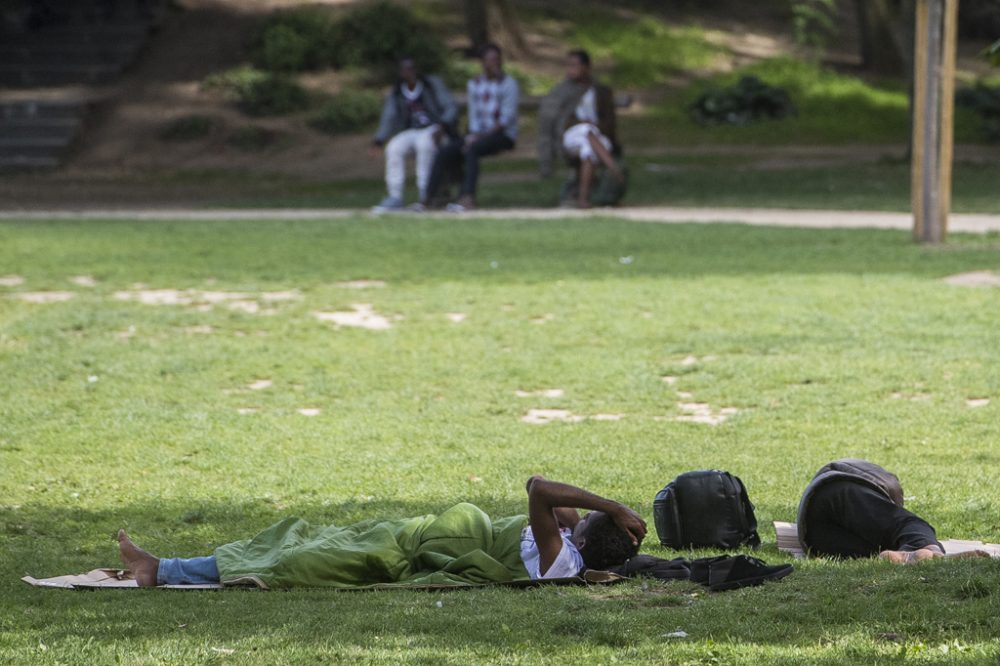 Migranten im Maximilianpark