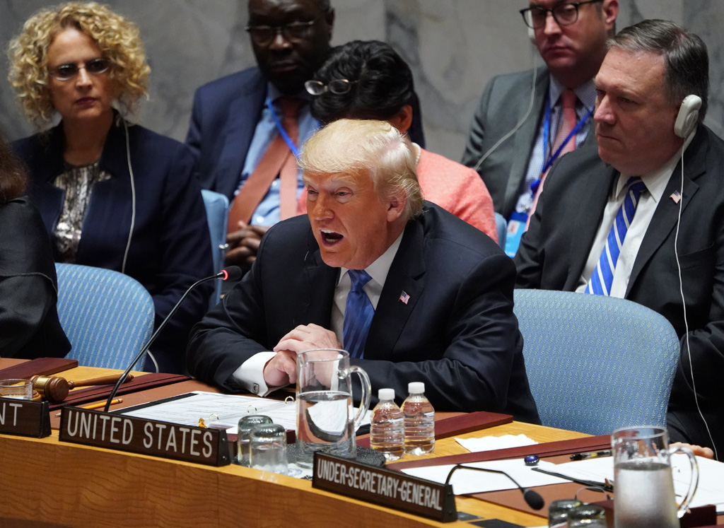 Donald Trump im UN-Sicherheitsrat (Bild: Don Emmert/AFP)