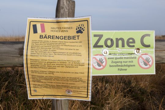 Scherzbold weist das Hohe Venn als "Bärengebiet" aus
