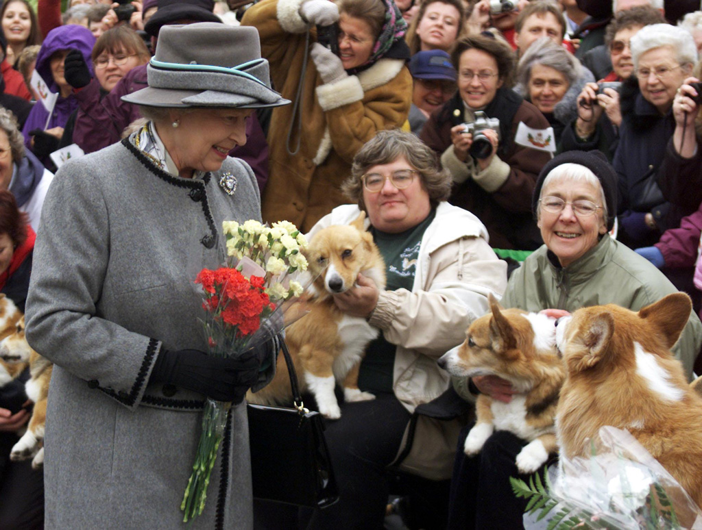 Queen Elizabeth II. mit Corgis (Archivbild: Adrian Wyld/Pool/AFP)