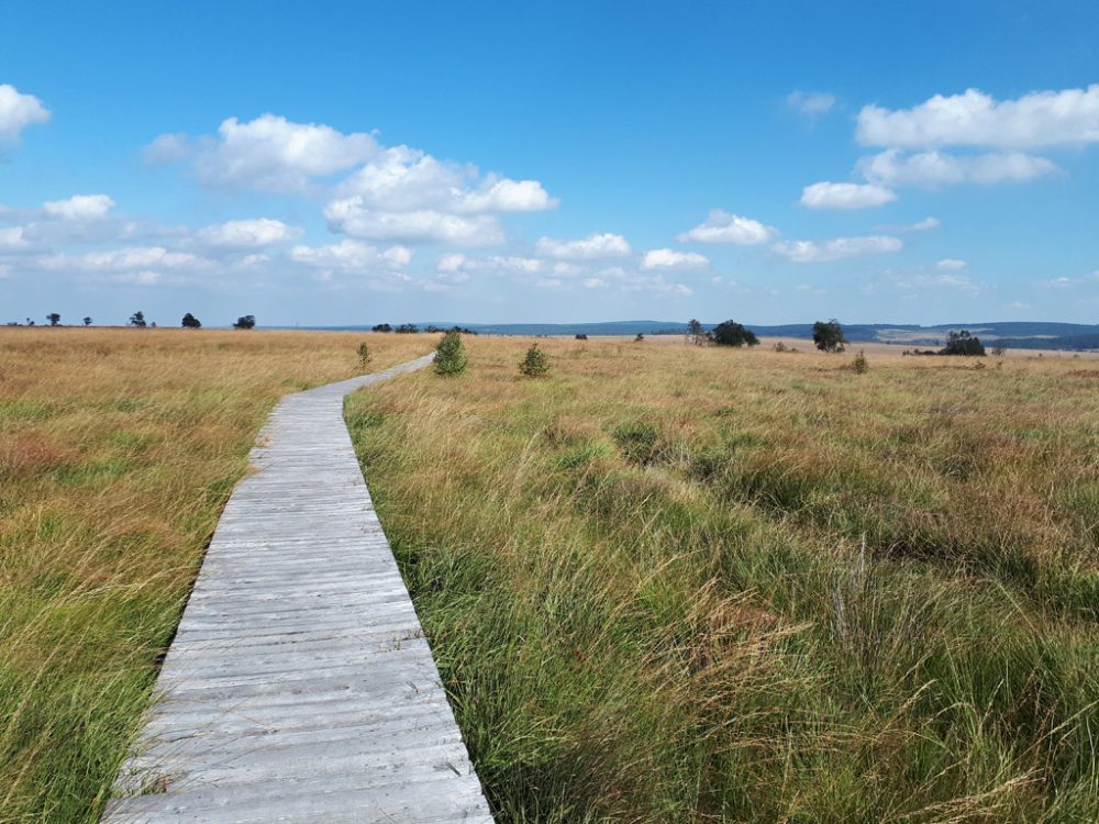 Das Hohe Venn im Frühherbst (Bild: Toni Wimmer/BRF)