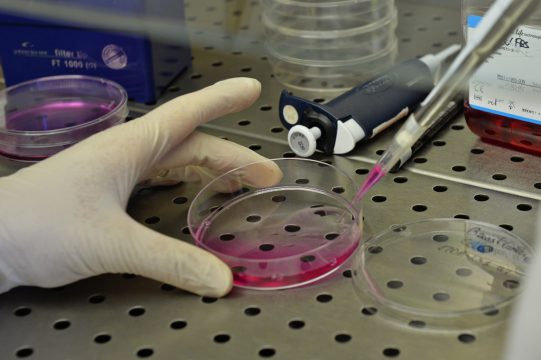 Forschung, Labor, Universität