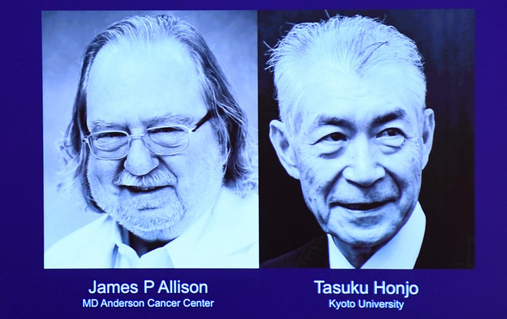 James Allison und Tasuku Honjo