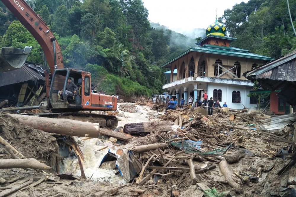 Saladi im Norden von Sumatra