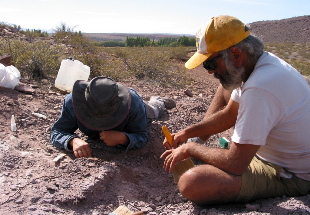 Paläontologen aus Spanien und Argentinien entdecken bisher unbekannte Dinosaurierart
