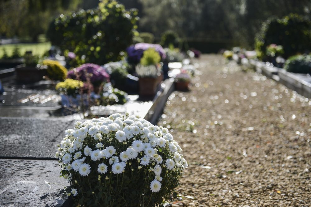 Friedhof in Brüssel (Bild: Laurie Dieffembacq/Belga)