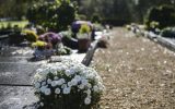 Friedhof in Brüssel (Bild: Laurie Dieffembacq/Belga)