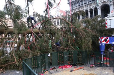 Transport des Weihnachtsbaums von Baelen zur Grand-Place in Brüssel (Anne Kelleter/BRF)
