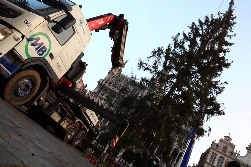 Transport des Weihnachtsbaums von Baelen zur Grand-Place in Brüssel (Anne Kelleter/BRF)