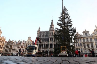 Transport des Weihnachtsbaums von Baelen zur Grand-Place in Brüssel (Bild von 2018: Anne Kelleter/BRF)
