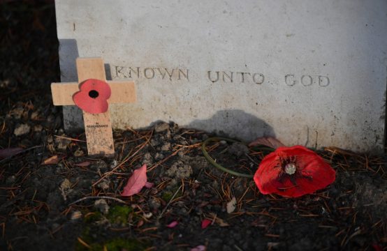 Mohnblume auf einem Soldaten-Grab