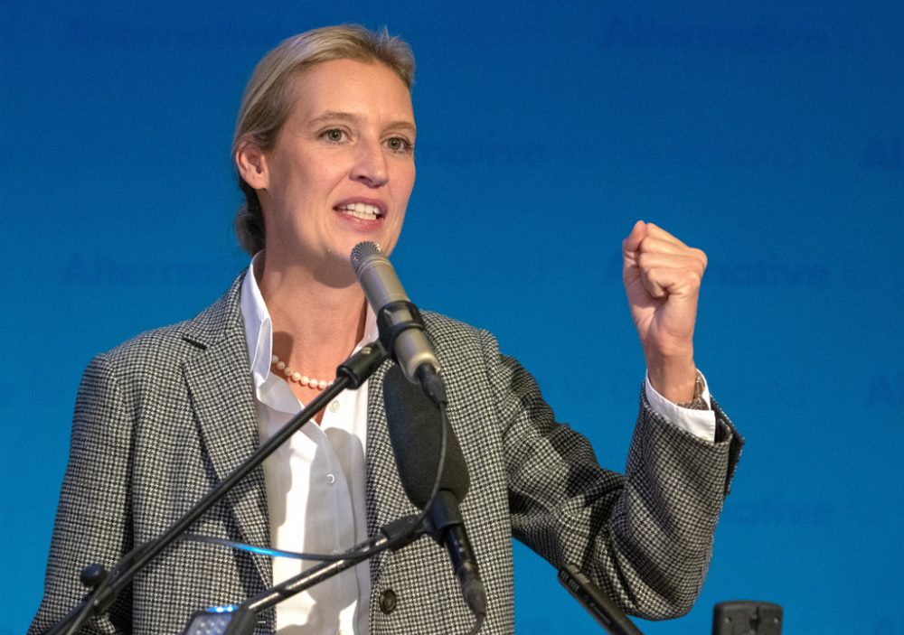 AfD-Fraktionschefin Alice Weidel