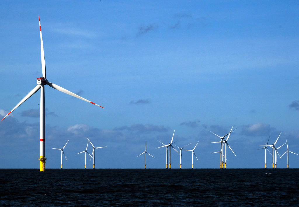 Offshore Windpark vor der belgischen Küste (Archivbild: Nicolas Maeterlinck/Belga)