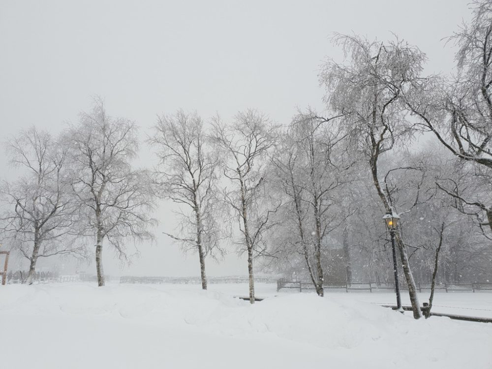 Schneetreiben in Ostbelgien (Bild: Lena Orban/BRF)