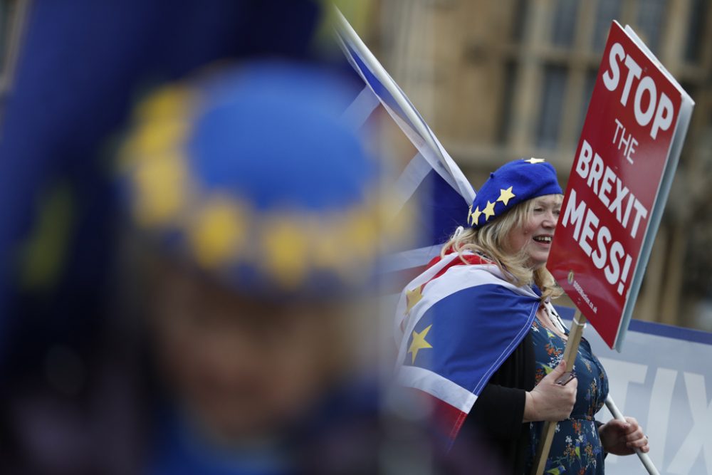 Pro-europäische Demonstrantin vor dem Parlament in London