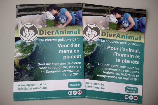 DierAnimal (Bild: Manuel Zimmermann/BRF)