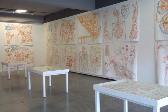 Foto: Chantal Delhez/BRF