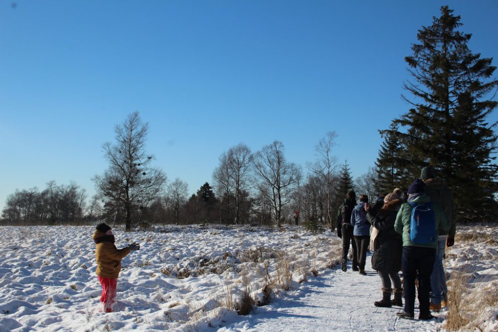 Schnee und Sonnenschein im Hohen Venn (Bild: Michaela Brück/BRF)