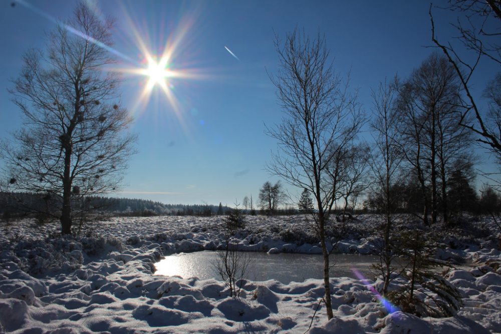 Schnee und Sonnenschein im Hohen Venn (Bild: Michaela Brück/BRF)