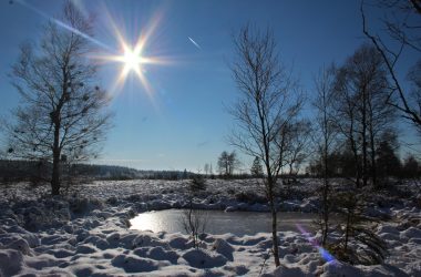 Schnee und Sonnenschein im Hohen Venn (Bild: Michaela Brück/BRF)