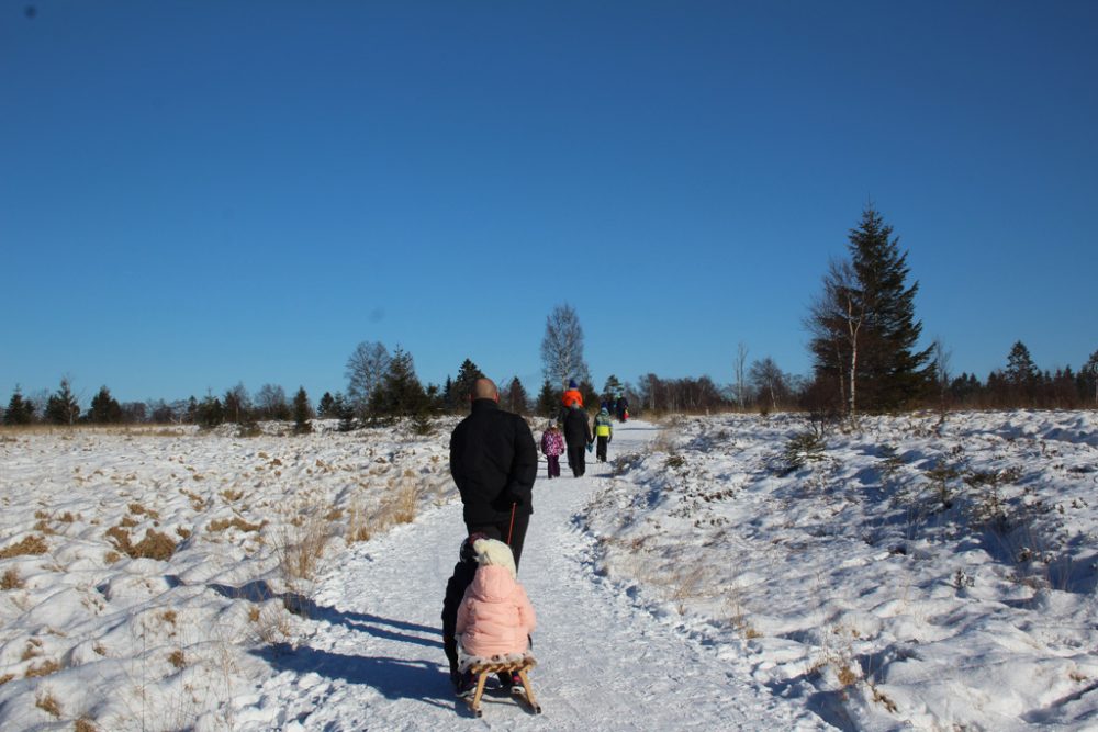 Schnee und Sonnenschein im Hohen Venn (Bild: Michaela Brück/BRF)