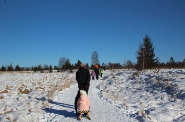 Schnee und Sonnenschein im Hohen Venn (Bild: Michaela Brück/BRF)