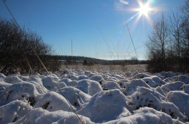 Schnee und Sonnenschein im Hohen Venn (Archivbild: Michaela Brück/BRF)