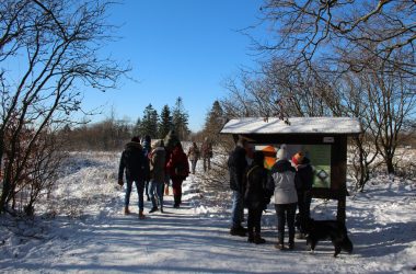 Schnee und Sonnenschein im Hohen Venn (Bild: Michaela Brück/BRF)