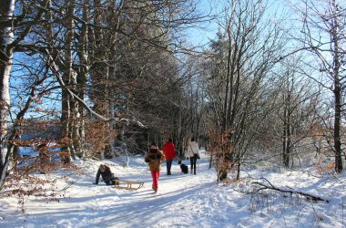 Schnee und Sonnenschein im Hohen Venn (Bild: Michaela Brück/BRF)