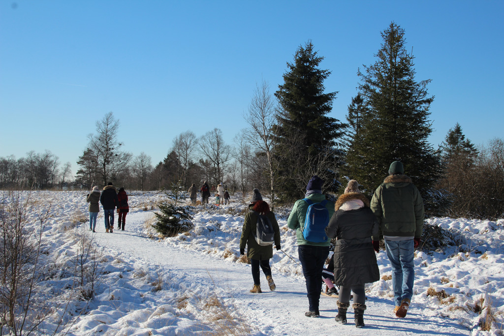 Schnee und Sonnenschein im Hohen Venn (Bild: Michaela Brück/BRF)