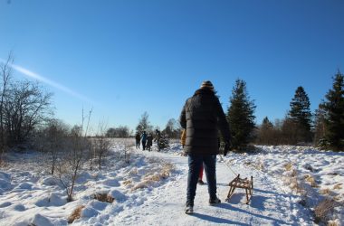 Schnee und Sonnenschein im Hohen Venn (Bild: Michaela Brück/BRF)