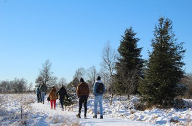 Schnee und Sonnenschein im Hohen Venn (Bild: Michaela Brück/BRF)