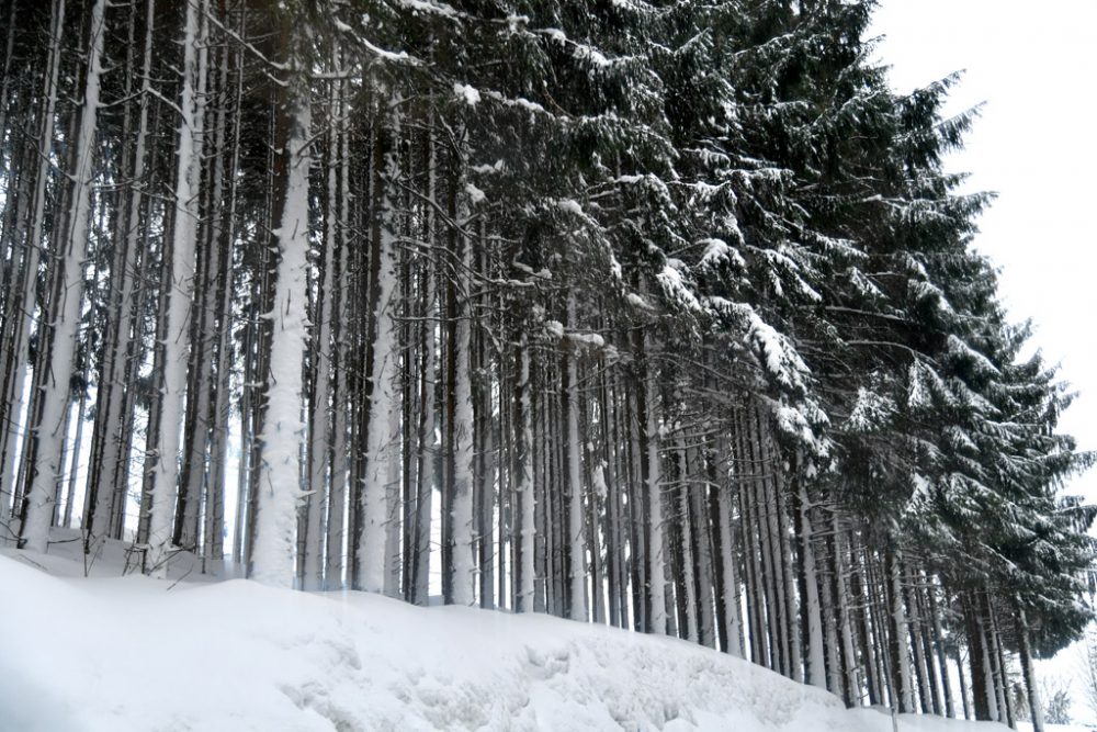 Schneebedeckte Landschaft in Sankt Koloman nahe Salzburg