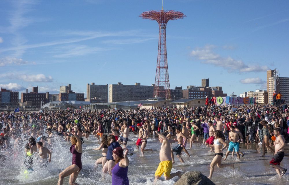 "Polar Bear Plunge" 2019