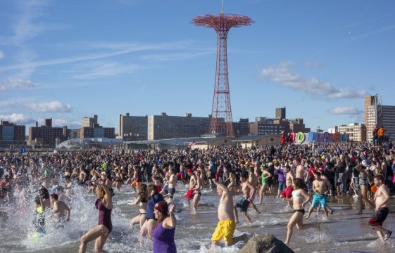 "Polar Bear Plunge" 2019