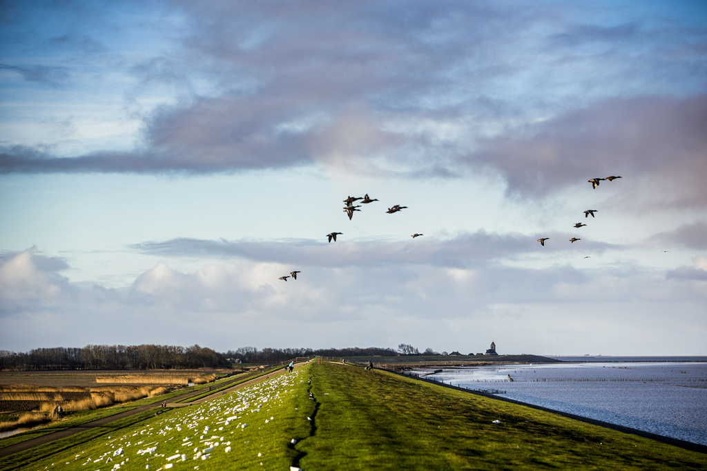 Moddergat an der niederländischen Küste (Bild: Siese Veenstra/ANP/AFP)