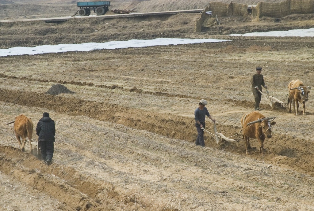 Bauern in Nordkorea (Bild: epa/ Adrian Bradshaw)