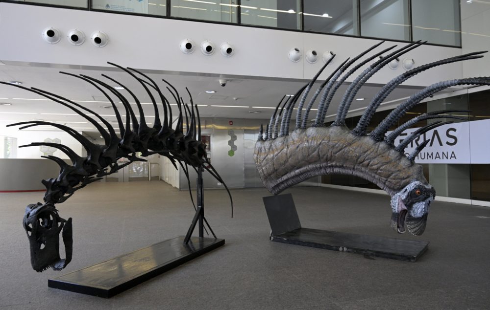 Neue Dinosaurierart Bajadasaurus (Bild: Juan Mabromata/AFP)